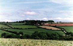 Farmland near Gwinear, Cornwall